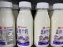 卫岗鲜牛奶 原生A2β-酪蛋白鲜奶260mL*6瓶 巴氏杀菌 亲和好吸收 实拍图