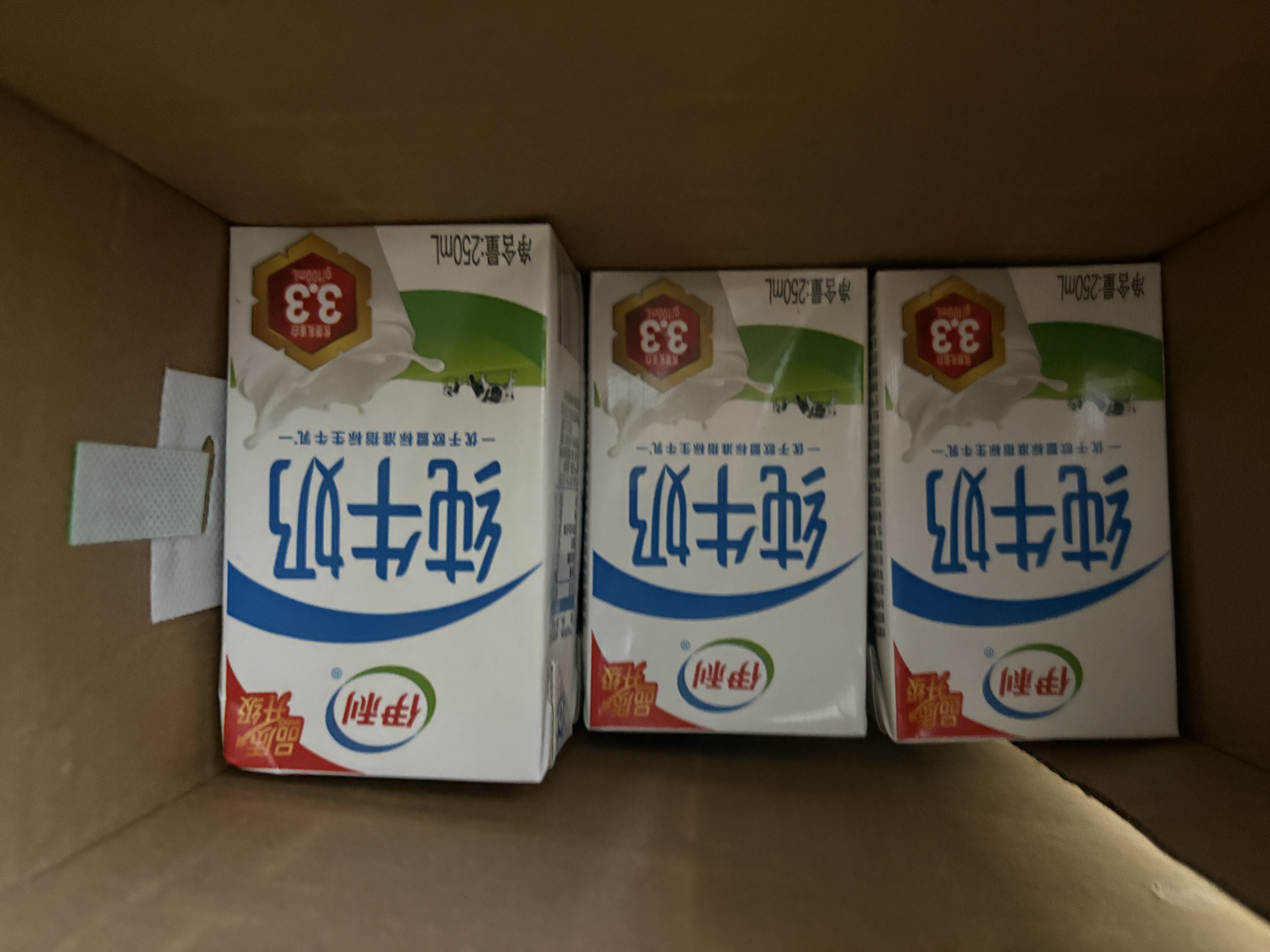 伊利全脂纯牛奶 250ml*18盒 每100ml含3.3g蛋白质 礼盒装 实拍图