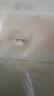 都市丽人女士内衣文胸罩软支撑无痕大胸显小无钢圈粉底液收副乳防下垂聚拢 实拍图