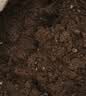 营养土养花种菜土壤有机兰花多肉植物盆栽种植椰砖土通用型 有机营养土5斤【园艺师专研配方 实拍图