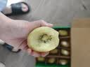 佳沛（zespri）新西兰金奇异果12粒特大果124-146g猕猴桃水果礼盒 实拍图