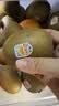 佳沛（zespri）新西兰金奇异果22粒巨大原箱146-175g猕猴桃水果礼盒 实拍图