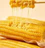 京鲜生东北黄糯玉米300g*8棒 甜黏玉米低脂早餐代餐粗粮真空装 源头直发 实拍图