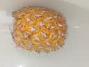广东湛江徐闻菠萝 香水菠萝 热带水果 【活动期间合并发货】1个 净重1.3-2斤 实拍图