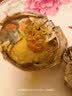【活蟹】漁家师傅大闸蟹全母3.0-3.3两8只去绳足重鲜活螃蟹现货生鲜水产礼盒金秋送礼 实拍图