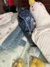 babycare皇室狮子王国弱酸纸尿裤中号M50片(6-11kg)婴儿尿不湿亲肤透气 实拍图