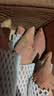 京鲜生山东烟薯25号蜜薯(已糖化) 净重4.5斤中果  源头直发 实拍图