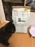 皇家英短成猫粮 BS34 通用粮 12月以上 4.5KG【宠物金选】 实拍图