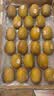 佳沛（zespri）新西兰金奇异果22粒巨大原箱146-175g猕猴桃水果礼盒 实拍图