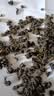 一农茶叶一级清香型铁观音乌龙茶粒粒香袋装250g 福建茗茶 实拍图