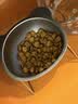 皇家猫粮 英短成猫粮 BS34 通用粮 12月以上 2KG【宠物金选】 实拍图