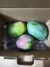 京鲜生 攀枝花【即食】凯特芒 净重5斤装 单果400g以上 生鲜水果 实拍图