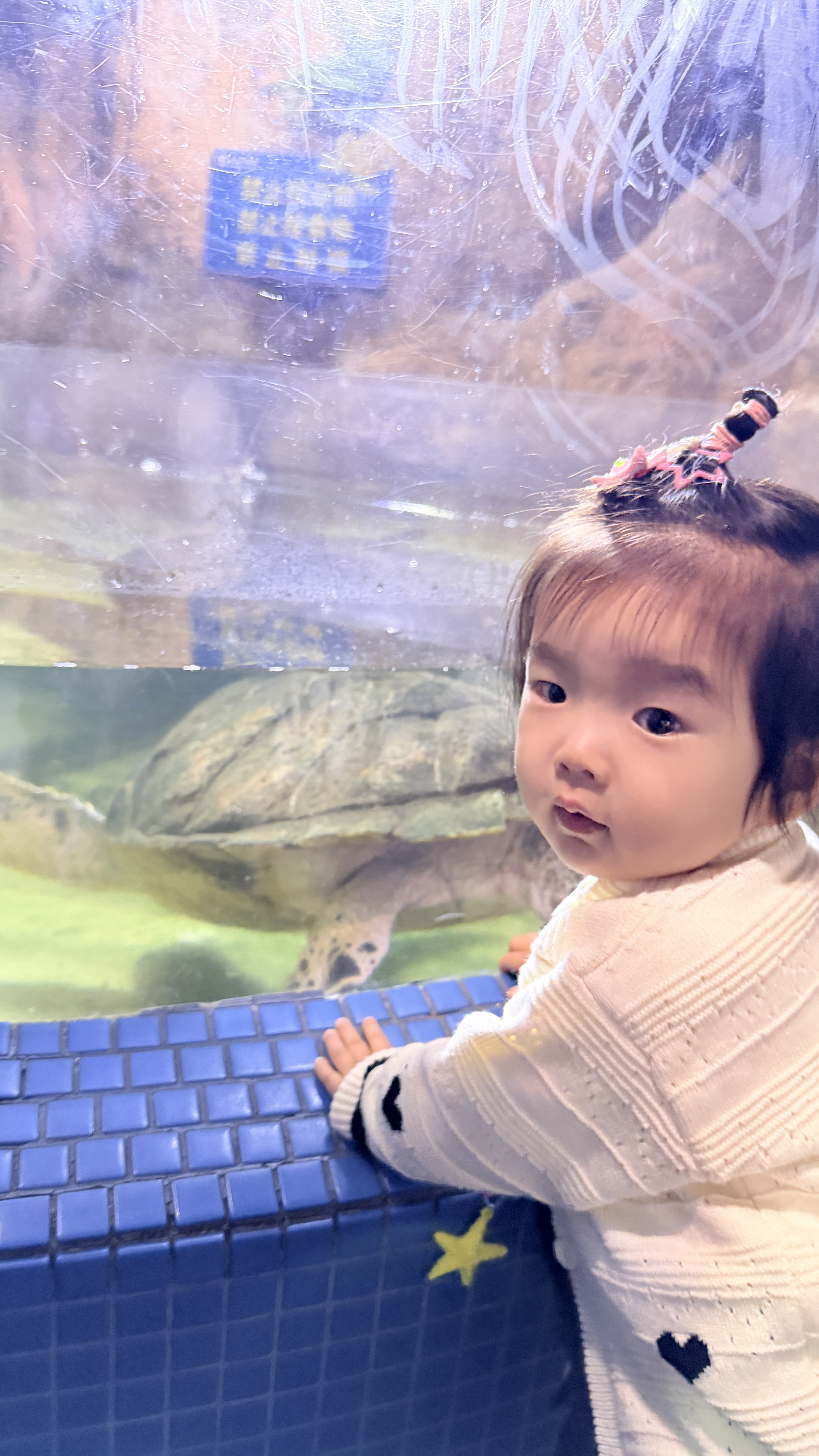 英氏婴幼儿面条鳕鱼胡萝卜味175g 辅食线面儿童早餐营养婴儿面条10月+ 实拍图