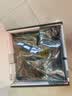 七彩虹（Colorful）BATTLE-AX B760M-PLUS S WIFI7 V20 超级黑刃D4主板14490F/14600KF/14700KF(Intel B760/LGA 1700) 实拍图