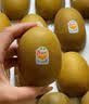 佳沛（zespri）新西兰  阳光金奇异果12粒特大果单果124-146g 猕猴桃 实拍图