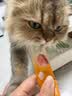 网易严选全价猫粮成幼猫主粮三文鱼亮毛深海鱼虾味1.8kg 【宠物金选】 实拍图