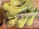 上海青约500g(油菜) 实拍图