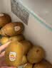 佳沛（zespri）新西兰  阳光金奇异果10粒巨大果单果146-175g 猕猴桃 实拍图