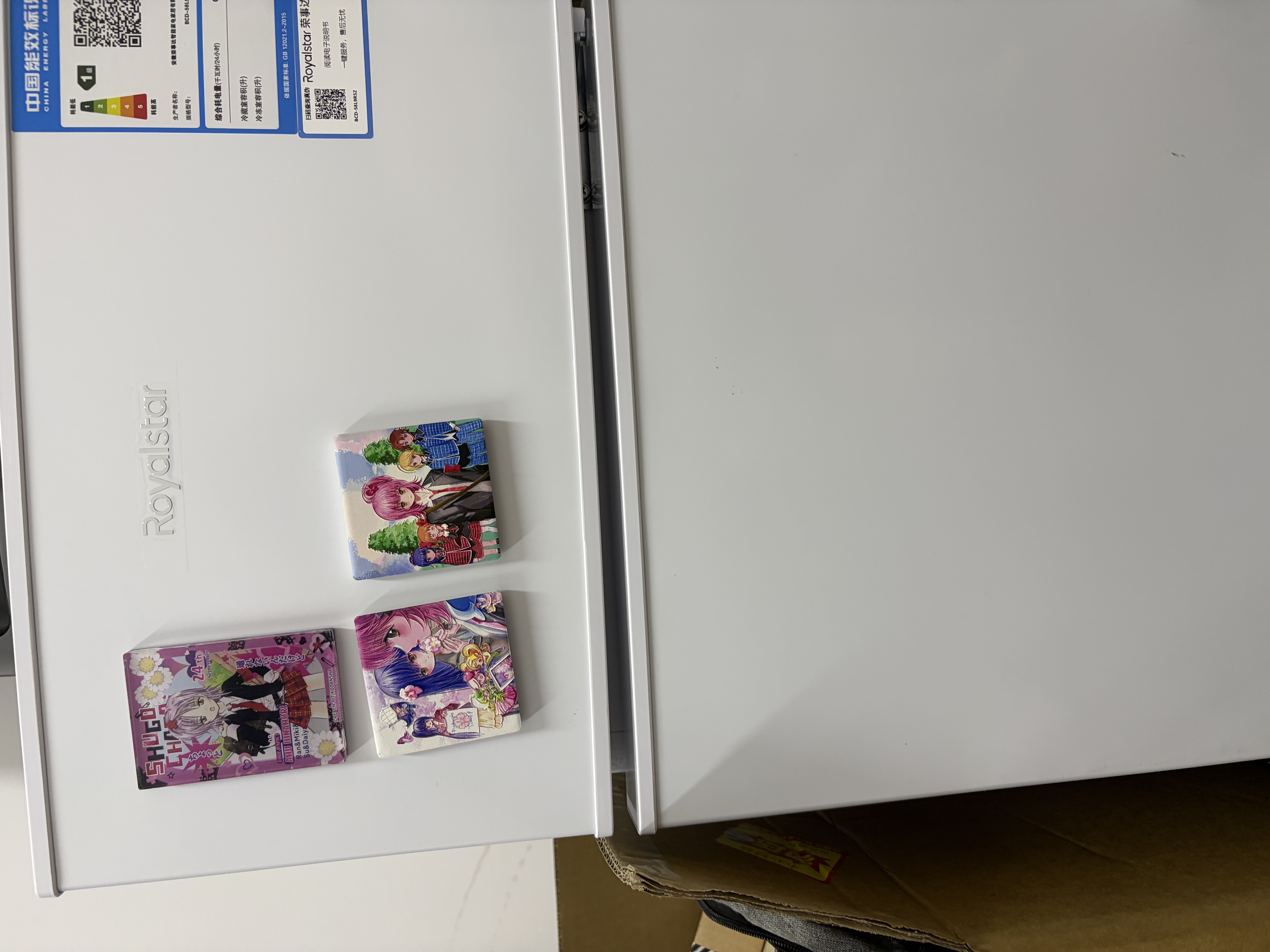 荣事达（Royalstar）小冰箱小型家用出租房双门1-2人小户型宿舍冷藏冷冻两用节能省电冰箱 58L9RSZ白【一级能效】【节能低噪】48升 实拍图