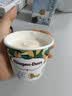 哈根达斯（Haagen-Dazs）开心果奶霜口味冰淇淋100ml/杯 雪糕 实拍图
