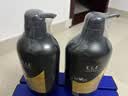 养元青洗发水云南白药柔顺控油蓬松植物生姜洗头膏洗发露500ml 实拍图