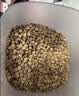 皇家（ROYAL CANIN）泌尿道处方猫粮LP34稀释尿液溶解鸟粪石结石猫全价处方粮3.5KG 实拍图