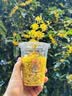 农夫山泉东方树叶茉莉花茶500ml*15瓶无糖茶饮料0糖0脂0卡整箱装 实拍图