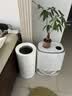 米家小米无雾加湿器3-800 轻音家用卧室办公室6L大容量 800ml/h快速加湿CJSJSQ04ZMZ礼品保湿婴幼儿 实拍图