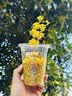 农夫山泉东方树叶茉莉花茶500ml*15瓶无糖茶饮料0糖0脂0卡整箱装 实拍图