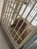 LEGENDSANDY蓝氏狗粮真鲜乳鸽中小型犬生骨肉冻干鲜肉犬粮250g 实拍图
