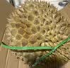 A级进口金枕鲜榴莲1粒约3kg(2-3kg) 实拍图
