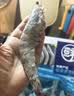 鲜京采 厄瓜多尔白虾 净重3斤/盒 特大号20-30规格   30-45只/盒 实拍图