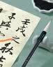 六品堂毛笔初学者书法套装入门专用狼毫兼毫三年级小学生水写布笔墨纸砚全套文房四宝收纳工具【17件套】 实拍图