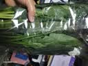 大菠菜300g 实拍图