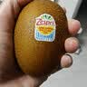 佳沛（zespri）新西兰金奇异果15粒巨大果146-175g猕猴桃水果礼盒 实拍图