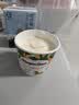 哈根达斯（Haagen-Dazs）开心果奶霜口味冰淇淋100ml/杯 雪糕 实拍图