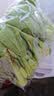 上海青约500g(油菜) 实拍图
