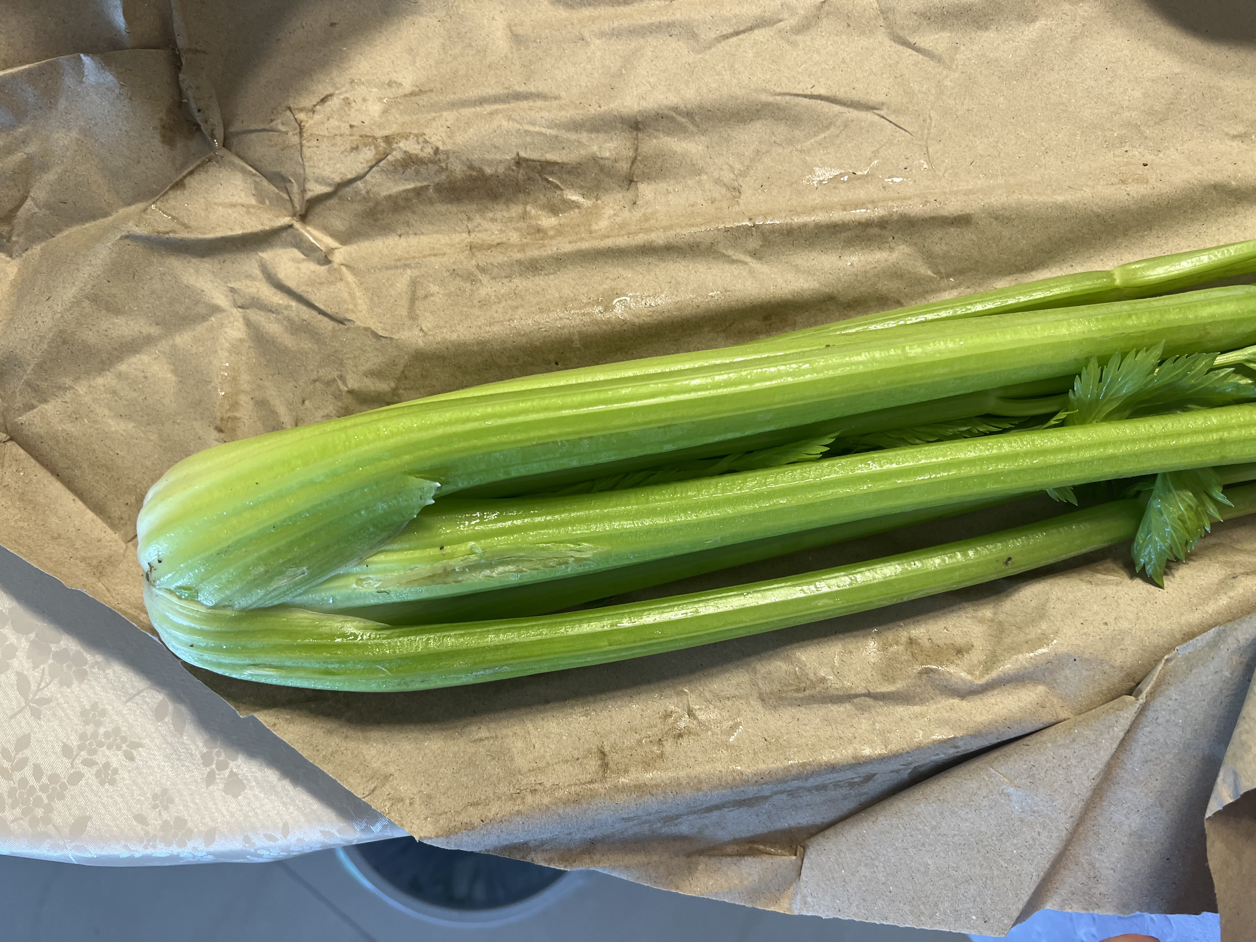 京地达山东水果西芹 净重3斤 榨汁芹菜蔬菜源头直发包邮 实拍图