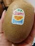 佳沛（zespri）新西兰金奇异果22粒巨大原箱146-175g猕猴桃水果礼盒 实拍图