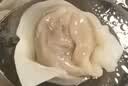 湾仔码头玉米蔬菜猪肉水饺1320g66只速食面点生鲜饺子儿童早餐速冻半成品 实拍图