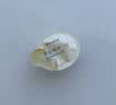 潘婷胜肽泡弹发膜12ml*5京东自营高活养发护理柔顺弹韧修护深水泡弹 实拍图