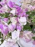 德沃多羊粪发酵有机肥原料内蒙古5KG蔬菜花卉通用植物盆栽肥料改善土壤 实拍图