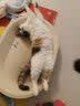 憨憨宠猫笼折叠猫笼子大号猫别墅加粗加密双层猫舍猫窝宠物猫咪用品家用 黑色 600双层 实拍图