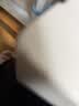 绿联适用苹果11/XR钢化膜iPhone11/XR手机保护膜高清超薄全屏防摔防刮抗指纹贴膜 2片装 实拍图