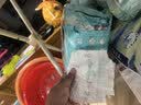 帮宝适新一级帮纸尿裤XL28【类胎脂】超薄透气干爽新生儿婴儿尿不湿尿裤 实拍图