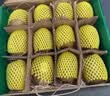 佳沛（zespri）新西兰 金奇异果特大果15粒134-146g猕猴桃水果礼盒 实拍图