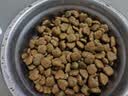 藻趣儿狗粮 藻趣儿狗粮成犬粮牛肉螺旋藻 均衡营养15kg/30斤 实拍图
