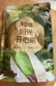 百草味开心果盐焗味100g 每日坚果干果休闲零食特产新老包装随机发 实拍图