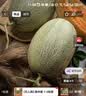 京鲜生 【脆甜】哈密瓜/西州蜜 2粒装 净重5-7斤  生鲜水果礼盒 实拍图