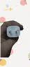 公牛（BULL）5V-1AUSB充电器 苹果安卓手机充电头插座 适用iPhone17/16e/15/14华为小米OPPO小天才手表 实拍图